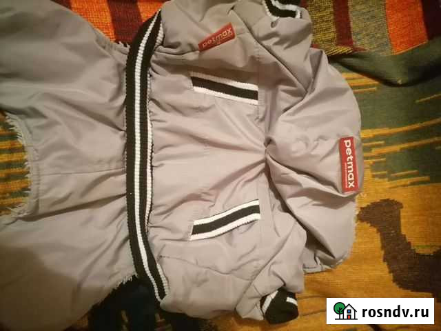 Одежда для маленьких собак Протвино - изображение 1