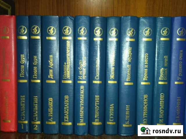 Книга Новомичуринск - изображение 1