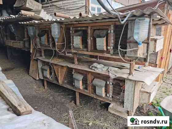 Кролятник Октябрьский