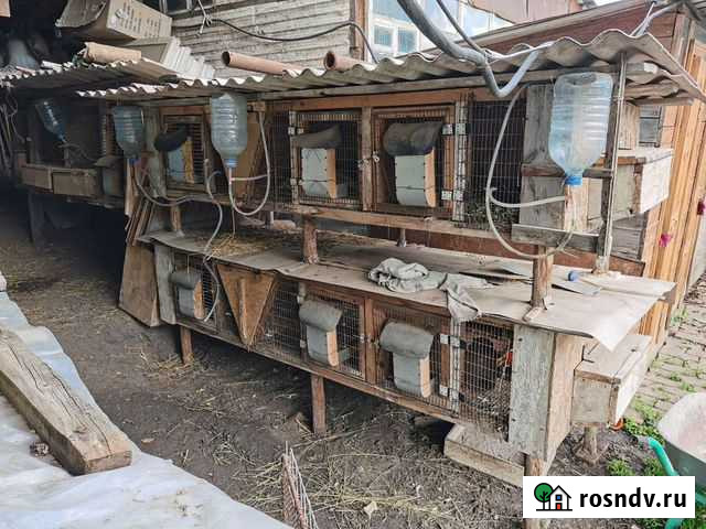 Кролятник Октябрьский - изображение 1