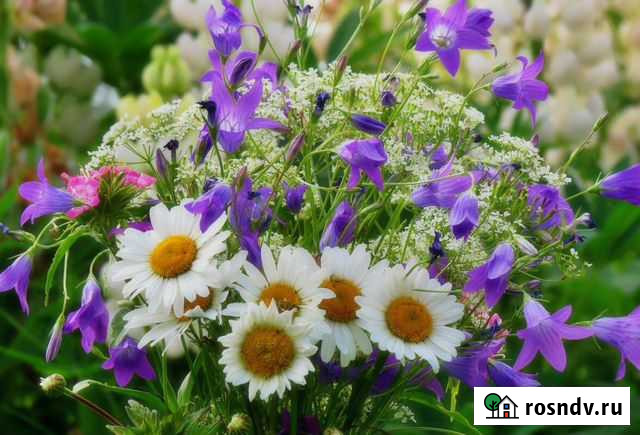 Натяжные потолки Королев - изображение 1