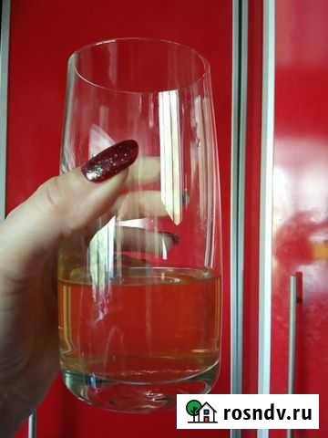 Винный гриб Кострома - изображение 1