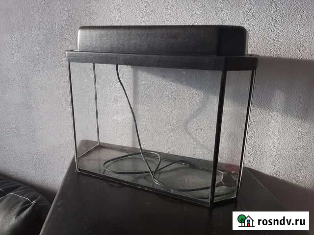 Аквариум Тюмень - изображение 1