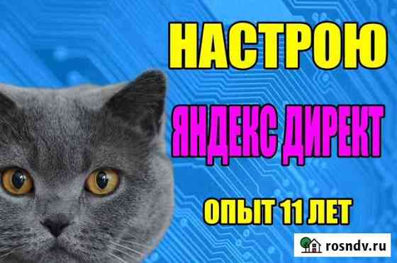 Настройка Яндекс Директ и Ведение 1 мес. бесплатно Уфа