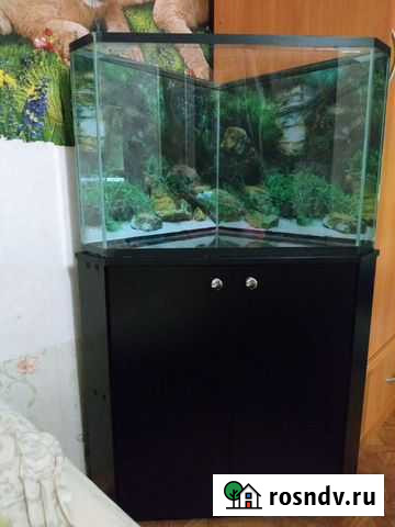 Аквариум 100л угловой с тумбой Пермь - изображение 1