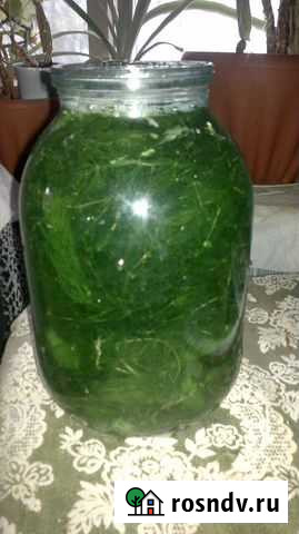 Аквариумные растения Барнаул - изображение 1