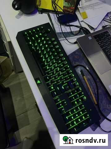 Игровая клавиатура Razer blackwidow elite 2014 Ростов-на-Дону - изображение 1