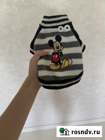 Свитер для собачки Альметьевск - изображение 1