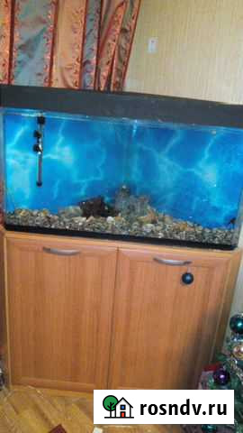 Аквариум Липецк - изображение 1