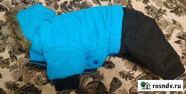 Одежда для маленьких собак Вологда - изображение 1