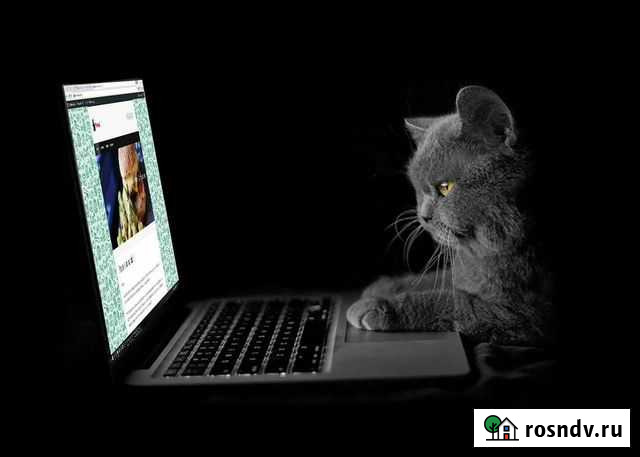 Ремонт пк, Прошивка телефонов Великий Новгород - изображение 1