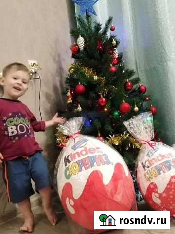 Киндер 5040 Великий Новгород - изображение 1