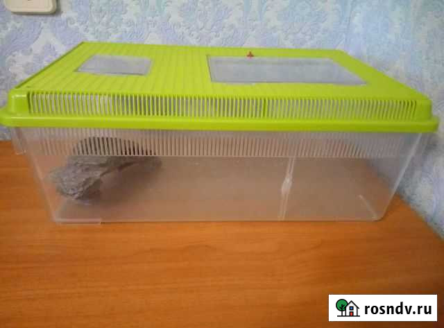 Аквариум Рузаевка - изображение 1