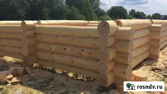 Срубы любых размеров Суздаль - изображение 1