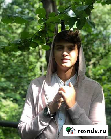 Разработка и продвижение сайтов Московский - изображение 1