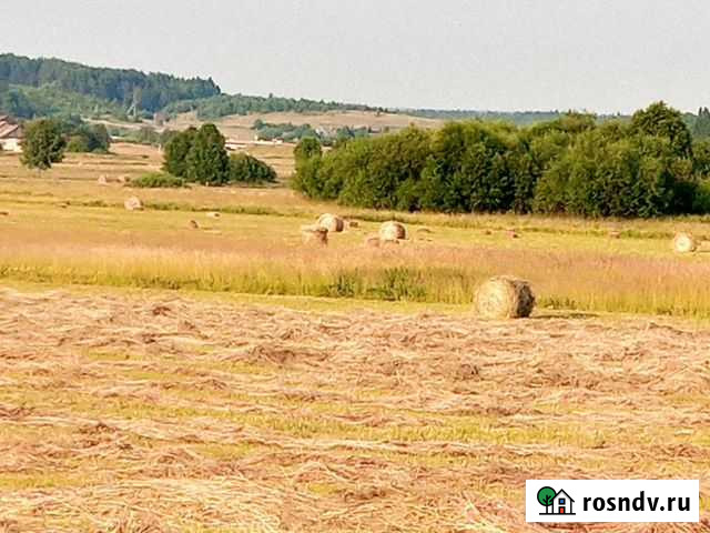 Сено Уинское - изображение 1