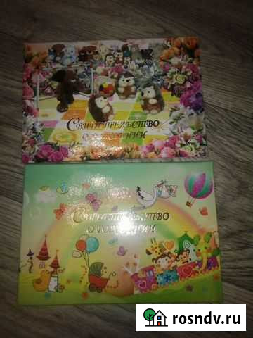 Свидетельство о рождении Рузаевка - изображение 1