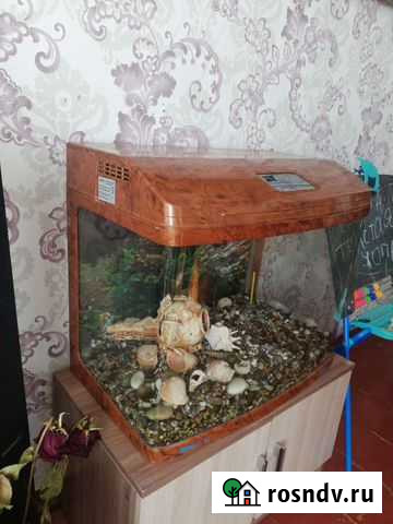 Аквариум Скопин - изображение 1