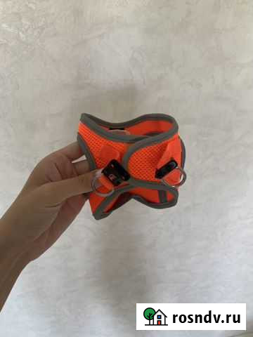 Шлейка для выгула животных Альметьевск - изображение 1