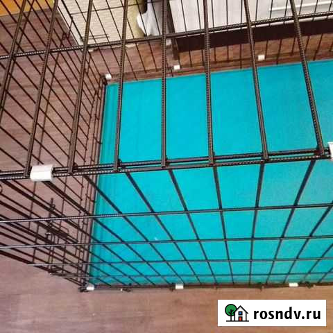 Клетка Ульяновск - изображение 1