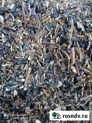 Отходы подсолнечника Сызрань - изображение 1