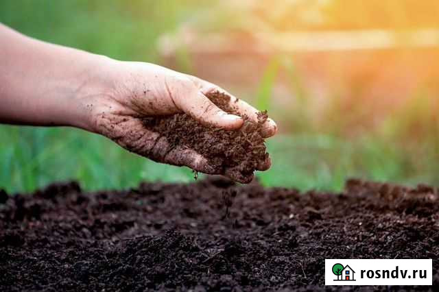 Чернозем садовый Голицыно - изображение 1