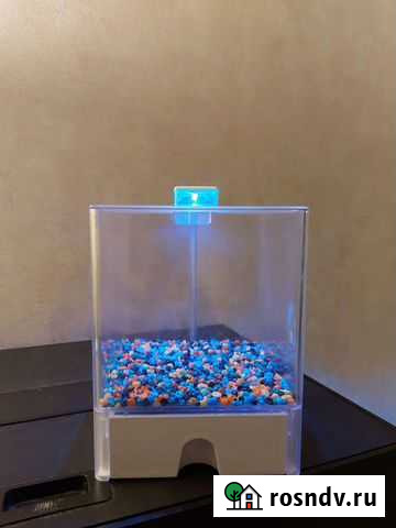 Аквариум Долгопрудный - изображение 1