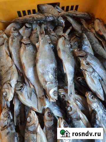 Рыба Комсомольск-на-Амуре - изображение 1