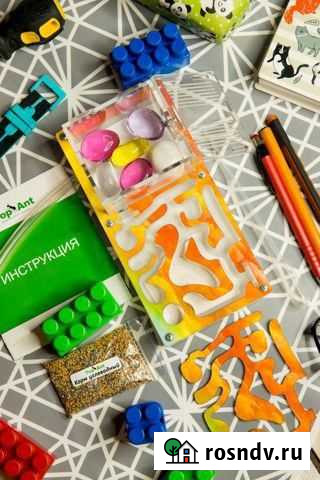 Муравьиная ферма Формикарий Челябинск - изображение 1