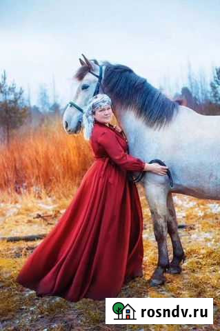 Лошадь молодая Санкт-Петербург - изображение 1