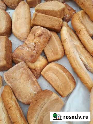 Хлеб на корм Гагарин - изображение 1