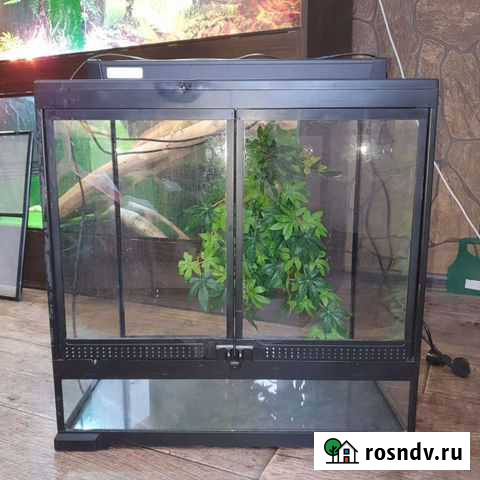 Террариум для рептилий Тверь - изображение 1