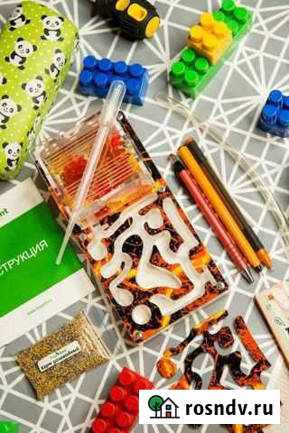 Муравьиная ферма Формикарий Омск - изображение 1