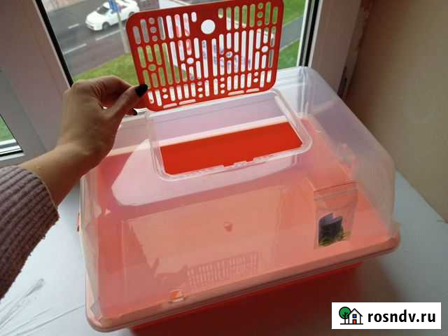 Террариум большой полупрозрачный Череповец - изображение 1