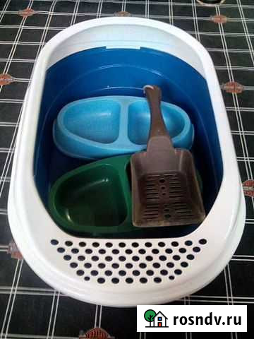 Кошачий набор: лоток + совок и 2 миски Смоленск - изображение 1