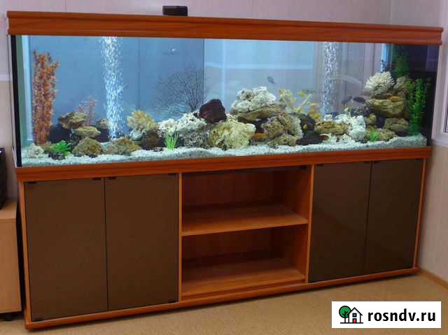 Аквариум 1200 л. на подставке Санкт-Петербург - изображение 1