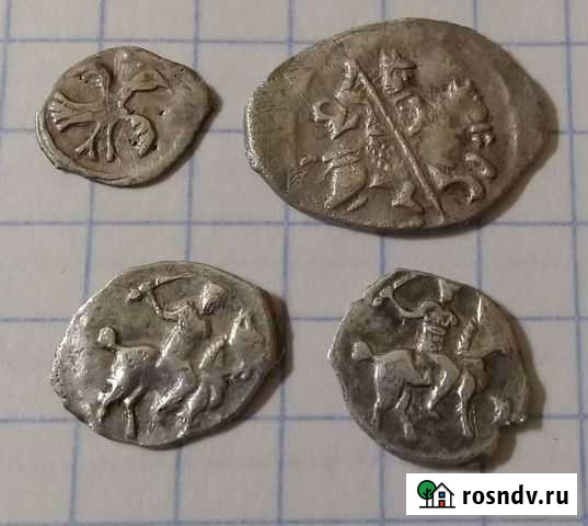 Серебрянная Чешуя Боровск - изображение 1