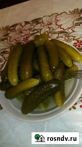 Огурцы бочковые Ульяновск - изображение 1
