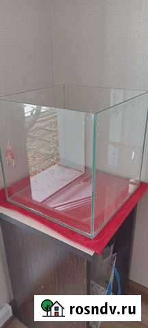 Аквариум Барнаул - изображение 1