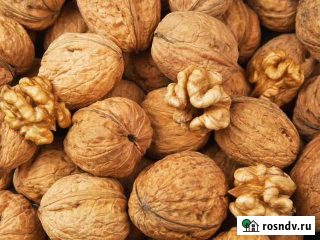 Продам грецкий орех в скорлупе и очищенный Набережные Челны - изображение 1