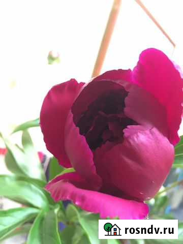 Оформление презентаций Нижневартовск - изображение 1