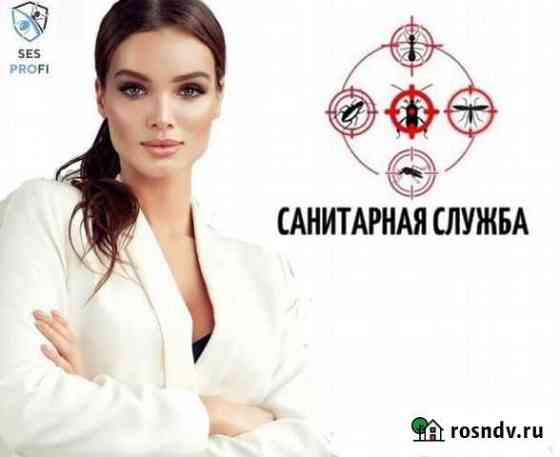 Обработка от тараканов, клопов, грызунов, бактерий Самара
