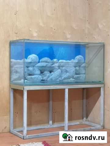 Аквариум Барнаул - изображение 1