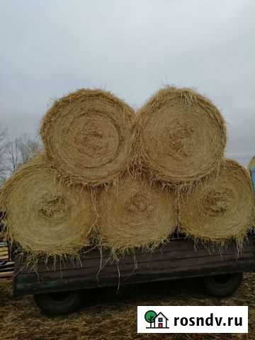 Солома.Пшеничная Усолье-Сибирское - изображение 1