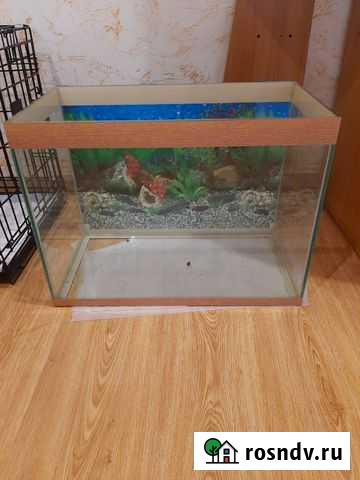 Аквариум Хабаровск - изображение 1