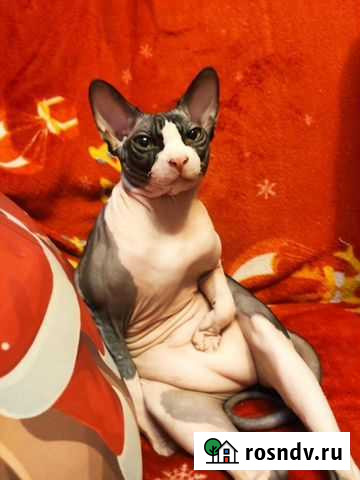 Вязка Барнаул - изображение 1