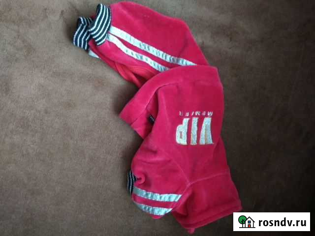 Одежда для собак Тихвин - изображение 1