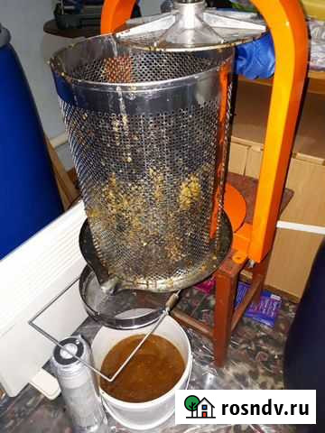 Мёд девственный Тацинская - изображение 1