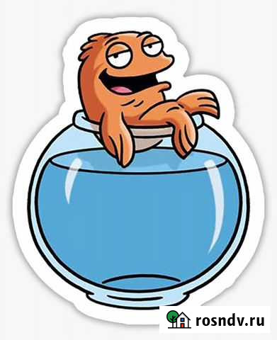 Аквариумный уход Иваново - изображение 1