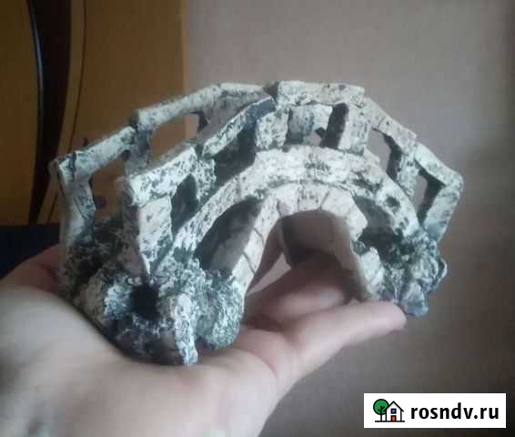 Аквариумистика Белгород - изображение 1